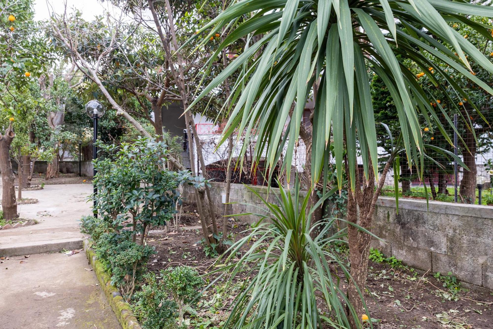 V Harmony In Sorrento Bed and Breakfast Meta Exterior foto