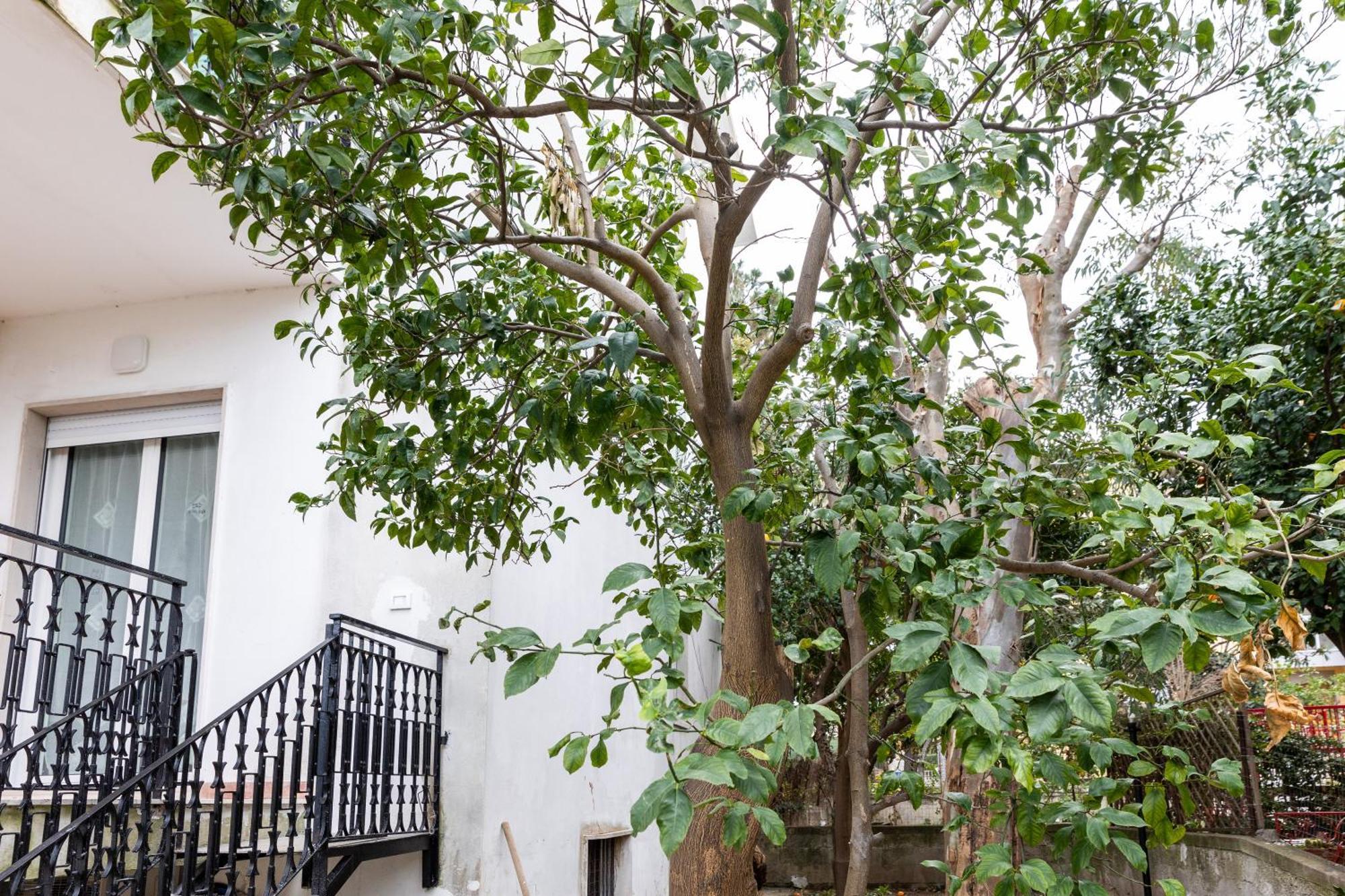 V Harmony In Sorrento Bed and Breakfast Meta Exterior foto